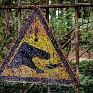 Achtung Dino