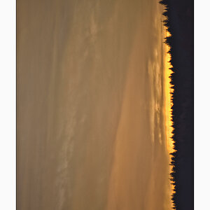 Abend1PZ1 3952