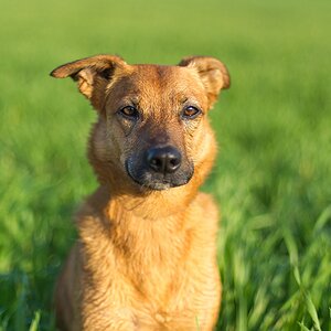 F004967c