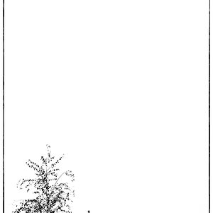 MorgenPZ1 3104