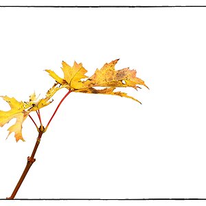 F005178c