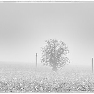 F005180c