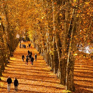 Allee Tübingen 01