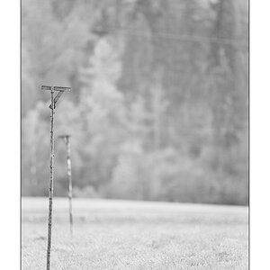 HerbstPZ1 3136
