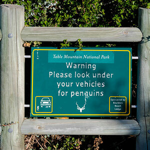 simonstown pinguin schild
