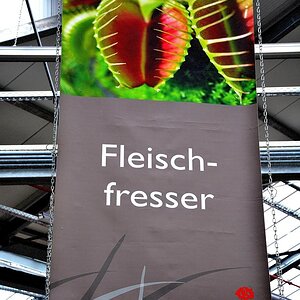Fleischfresser