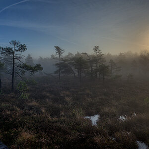 Schwarzes Moor 001