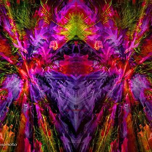 comp Rorschachtest   Der Farbe einen Tempel bauen
