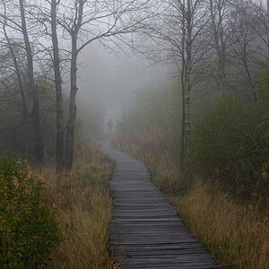 Schwarzes Moor 004