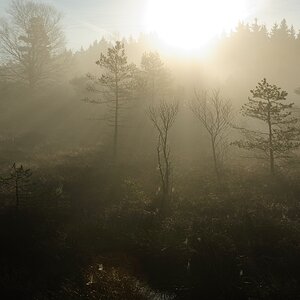 Schwarzes Moor 009
