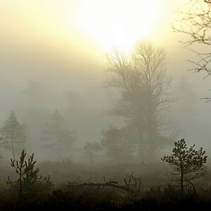 Schwarzes Moor 04