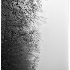 WaldPZ1 4108