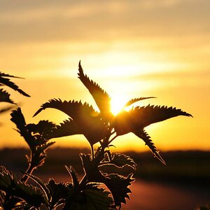 Sonnenuntergang