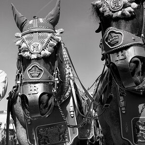 Oktoberfest 2014 1050404 klein