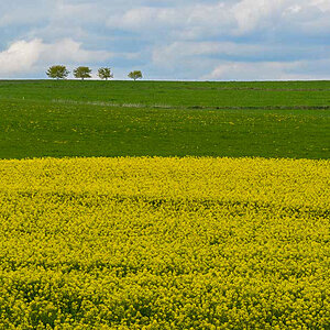 Landschaft bearbeitet
