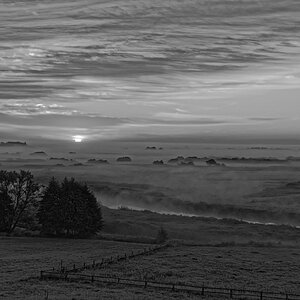 Morgennebel