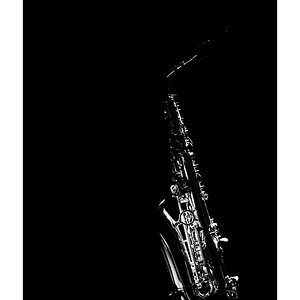 JazzPZ1 3181