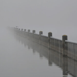 Nebel am Unisee 5916