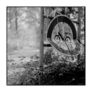 Spaziergang 2