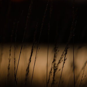20141123 DSC 0001 2