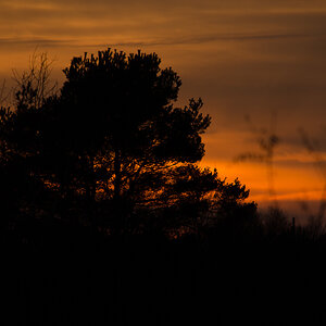20141123 DSC 0007 2