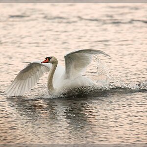 20141102 2400 [NIKON D810] 500 mm,1 640 Sek. bei ƒ   5,6