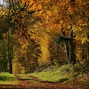 DSC 0297 Emletrann 1000
