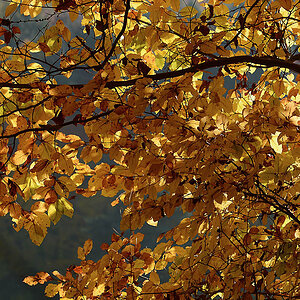 DSC 0296 Ranntal 1000