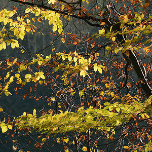DSC 0268 Ranntal 1000