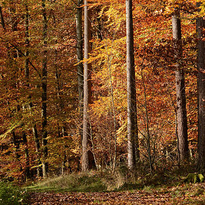 DSC 0236 Ranntal 1000