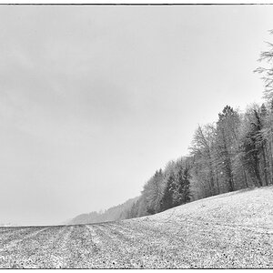 SchneeDSC 0462