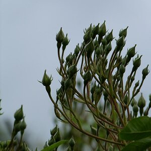 P1010839.1024