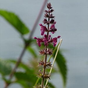 P1030502.1024