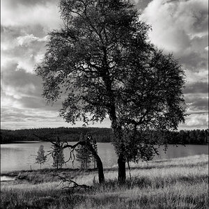 L1012091 Bearbeitet