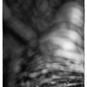 SchneckePZ1 2896