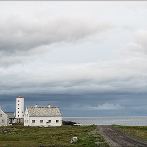 DSC 3461