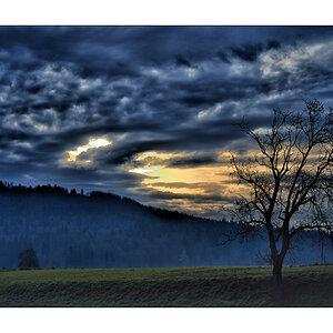 MorgenPZ1 4240