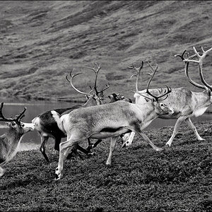 L1012302 Bearbeitet