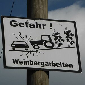 Weinbergarbeiten