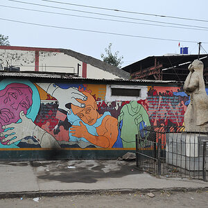 DSC0563 web
