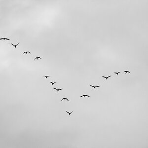 DSC 0508