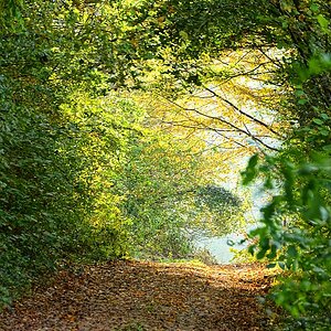 Herbst