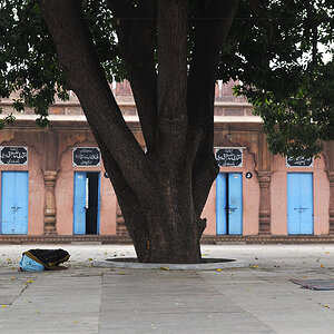 DSC0916 web