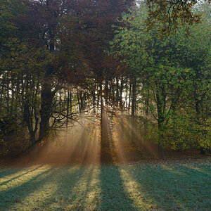 Herbst im Park