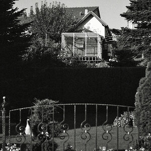 29700f9kodaktrix400c
