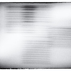 315/365
