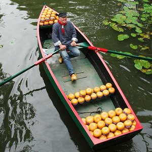 Käsekahn in Edam
