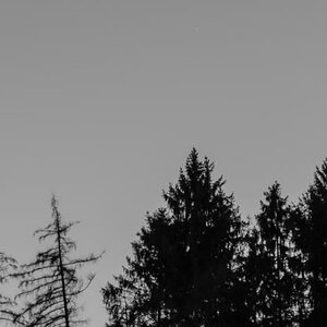 125/365