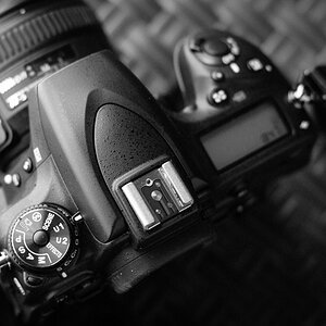 D750 002
