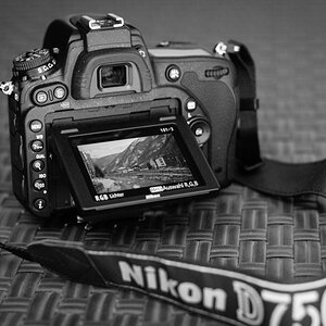 D750 003